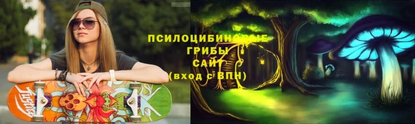 PSILOCYBIN Арсеньев