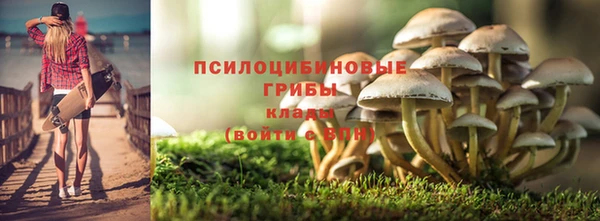 PSILOCYBIN Арсеньев